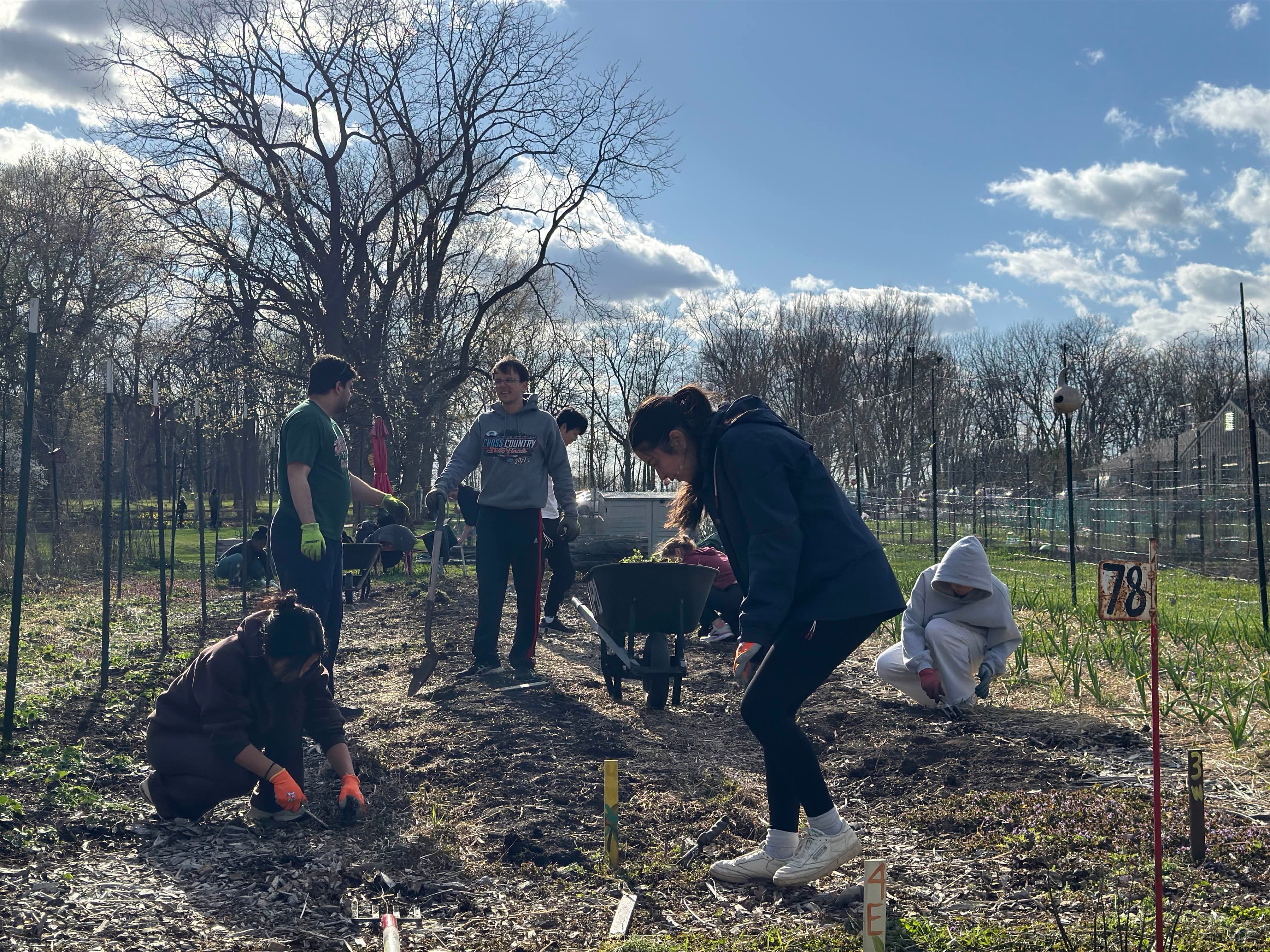 Meadowbrook Learning Garden 3
